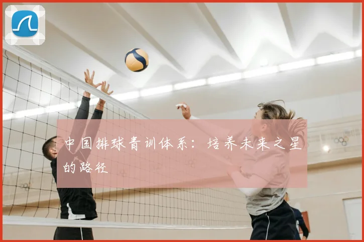 中国排球青训体系:培养未来之星的路径