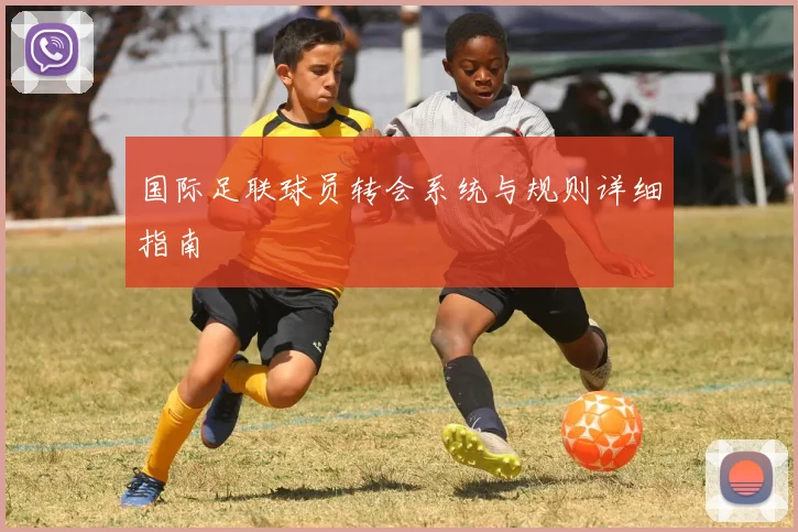国际足联球员转会系统与规则详细指南